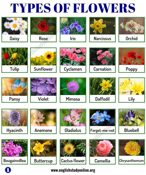 What is collection of flowers called?