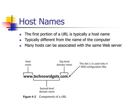 What is common host name?