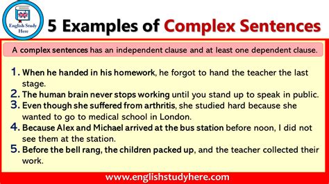 What is complex sentence example?