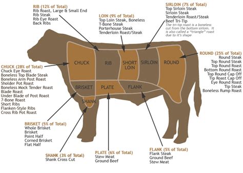 What is conformation of a beef carcass?