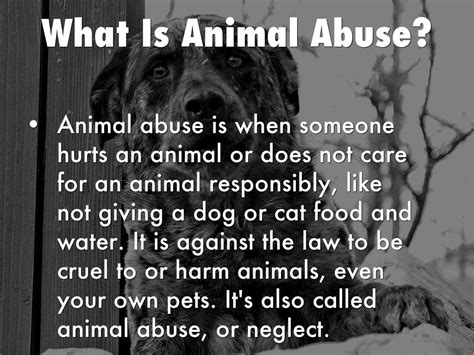 What is considered abusive to a dog?
