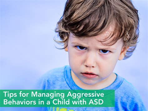 What is considered aggressive behavior?