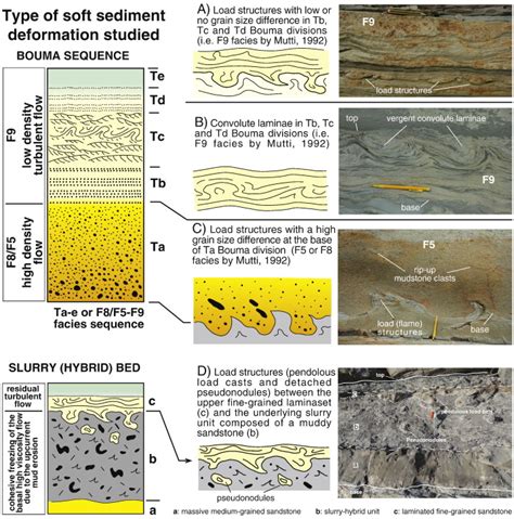 What is convoluted bedding?