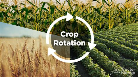What is crop offset?