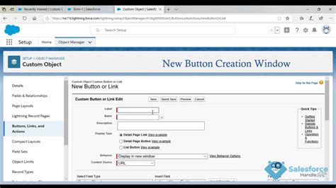 What is custom button in Salesforce?