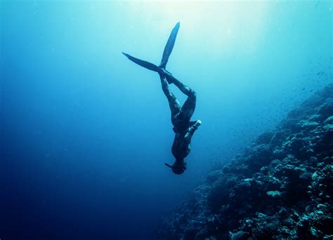 What is deepest free dive?