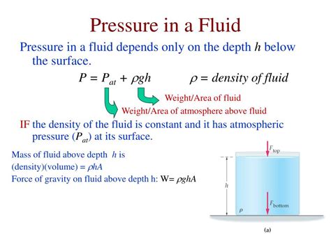 What is density P and pressure P in a fluid?