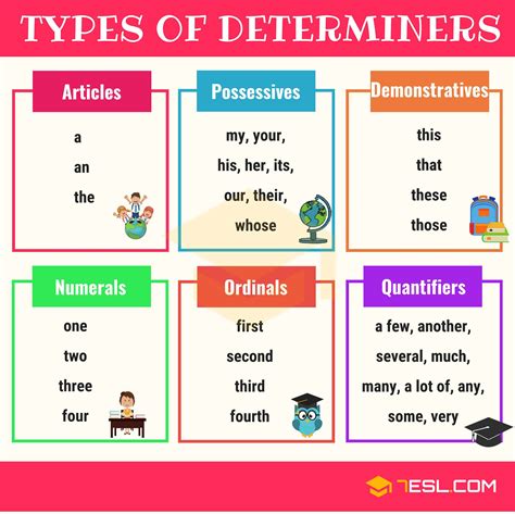 What is determiner words?