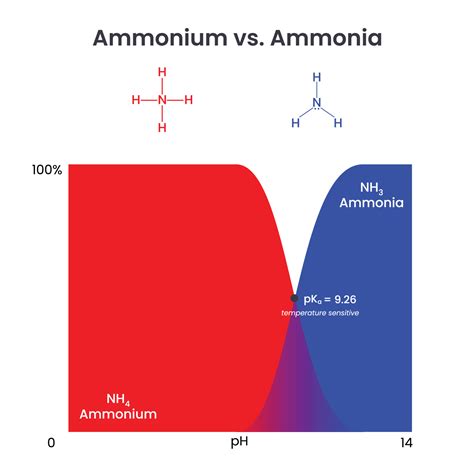 What is difference between ammonia and ammonium?