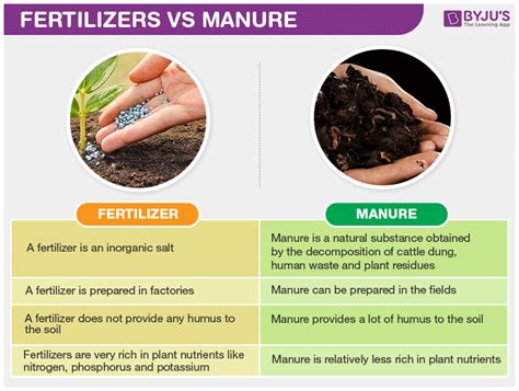 What is difference between manure and fertilizer?