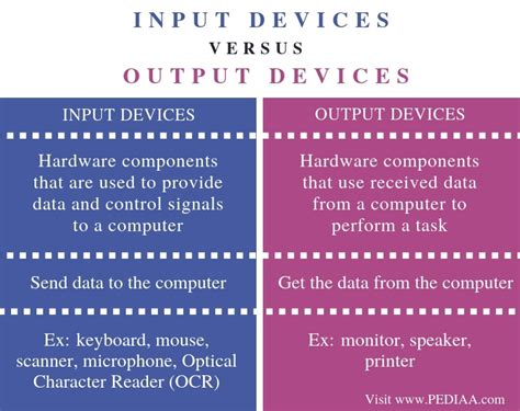 What is difference input and output?