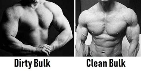 What is dirty bulk?