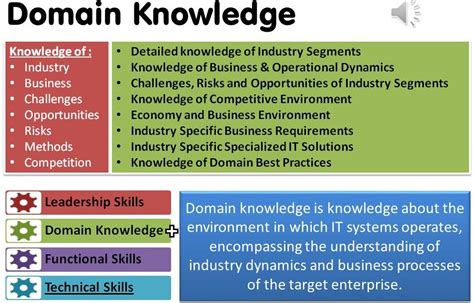 What is domain based knowledge?