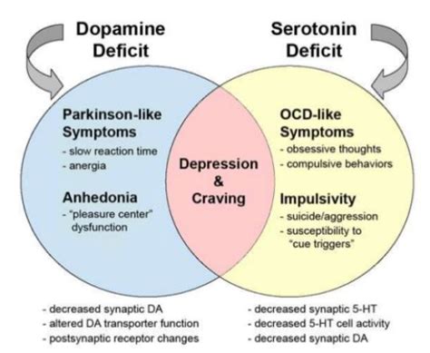 What is dopamine theory of autism?