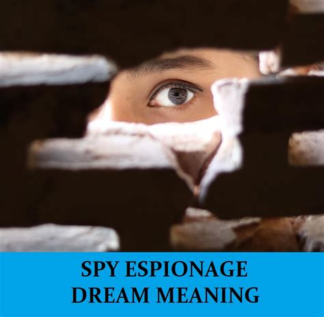 What is dream spying?