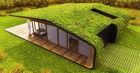What is eco roof?