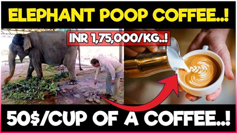What is elephant coffee?