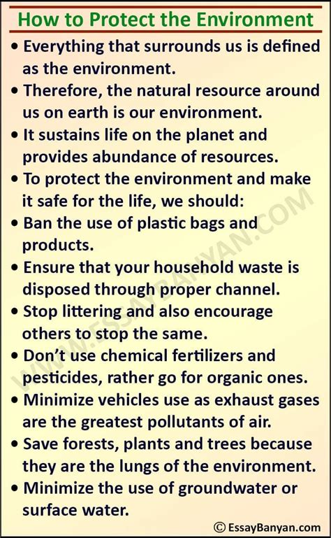 What is environment in 200 words?