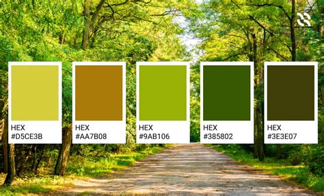 What is environmental color?