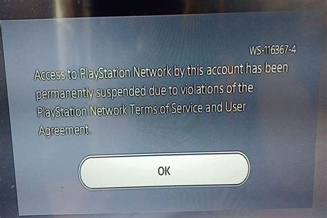 What is error code WS 116367 4 on PS5?