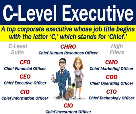 What is executive and C-level?