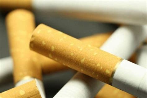 What is fatwa about cigarettes?