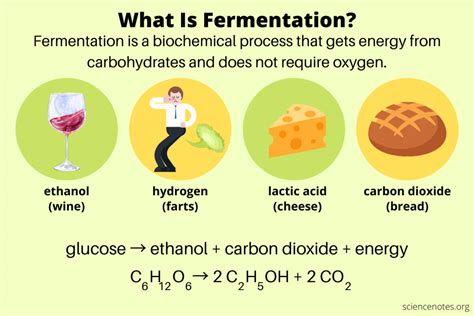 What is fermentation oxygen?