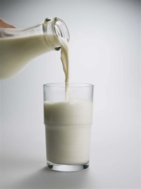 What is fermented milk called?