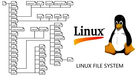 What is file security in Linux?