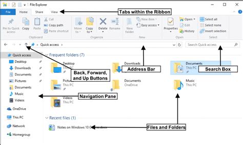 What is file viewer used for?