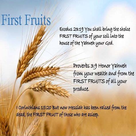 What is first fruit in Christianity?