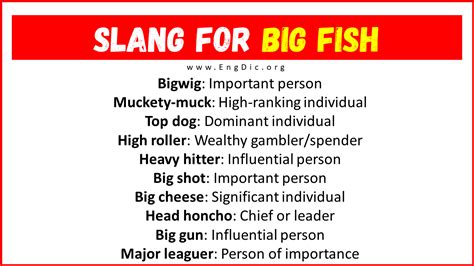 What is fish slang?