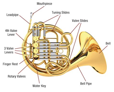 What is french horn key?