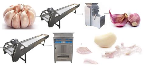 What is garlic processing?