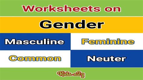 What is gender in primary 3?