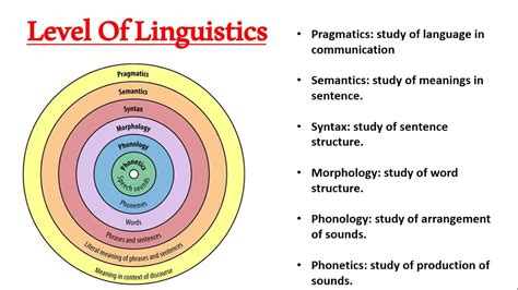 What is grammar and linguistics?