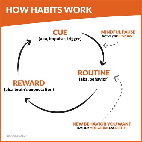 What is habit and how it works?