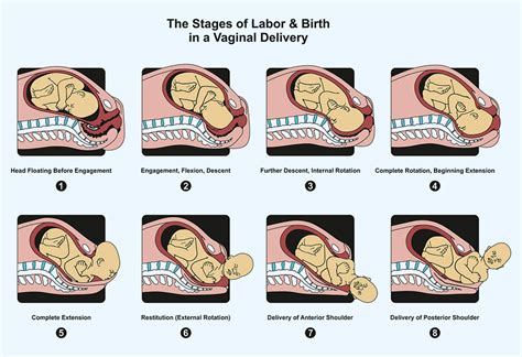 What is harder than childbirth?