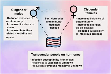What is hormone therapy for gender dysphoria?