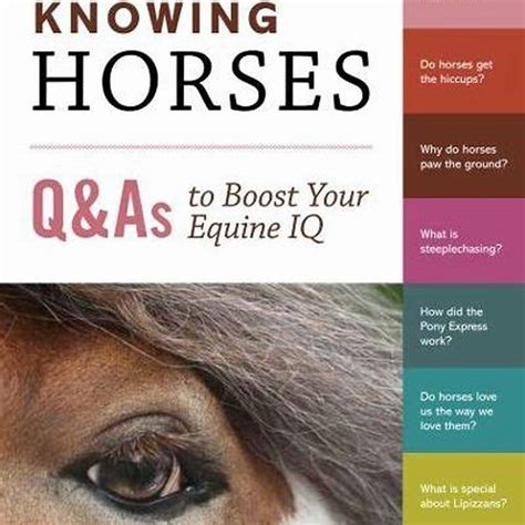 What is horse IQ?