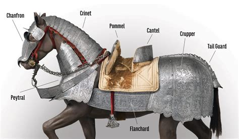 What is horse armor called?