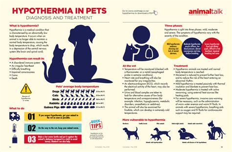 What is hypothermia in animals?