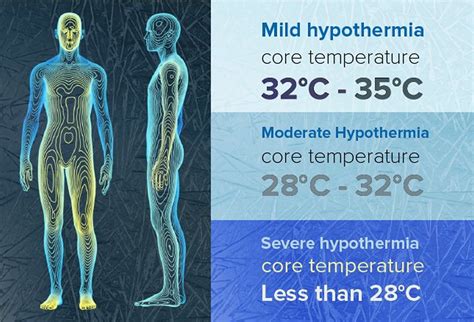 What is hypothermia in mammals?