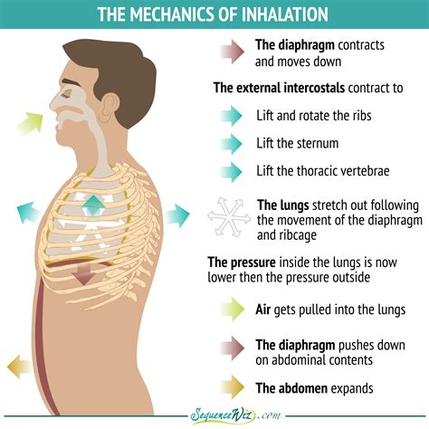 What is inhale for kids?