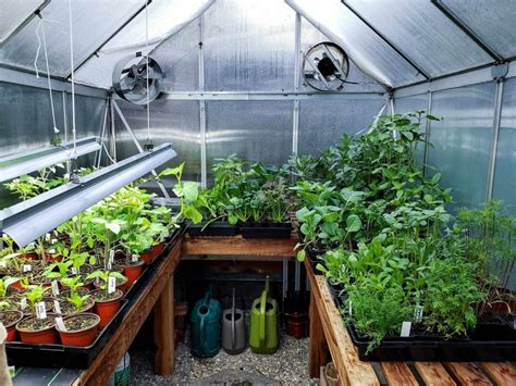 What is inside a greenhouse?