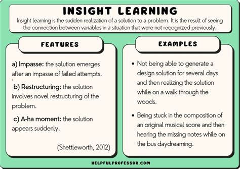What is insight with example?