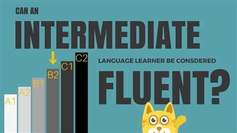 What is language professional vs fluent?