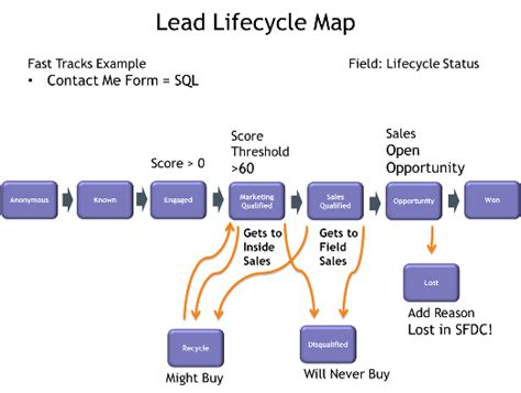 What is lead life cycle?