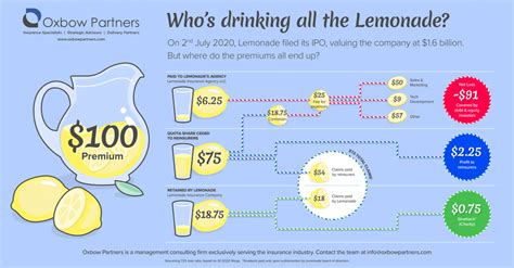 What is lemonade business model?