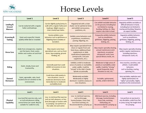 What is level 5 in horse riding?